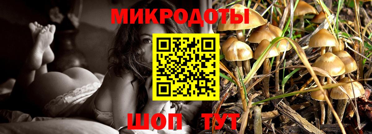 купить   Галлюциногенные грибы прущие грибы  Вход с VPN  Петропавловск-Камчатский 